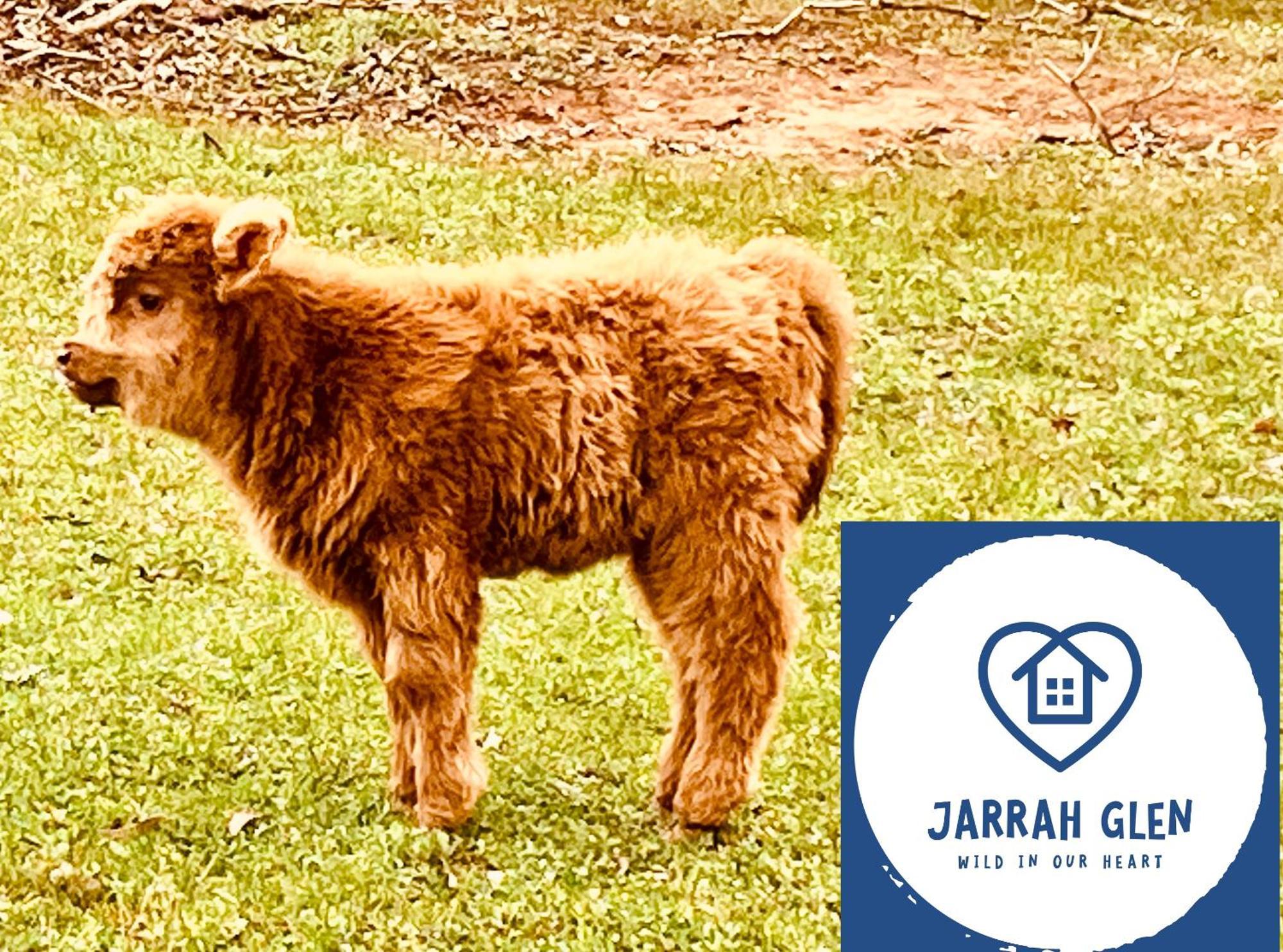Jarrah Glen Cabins Nannup Exterior foto