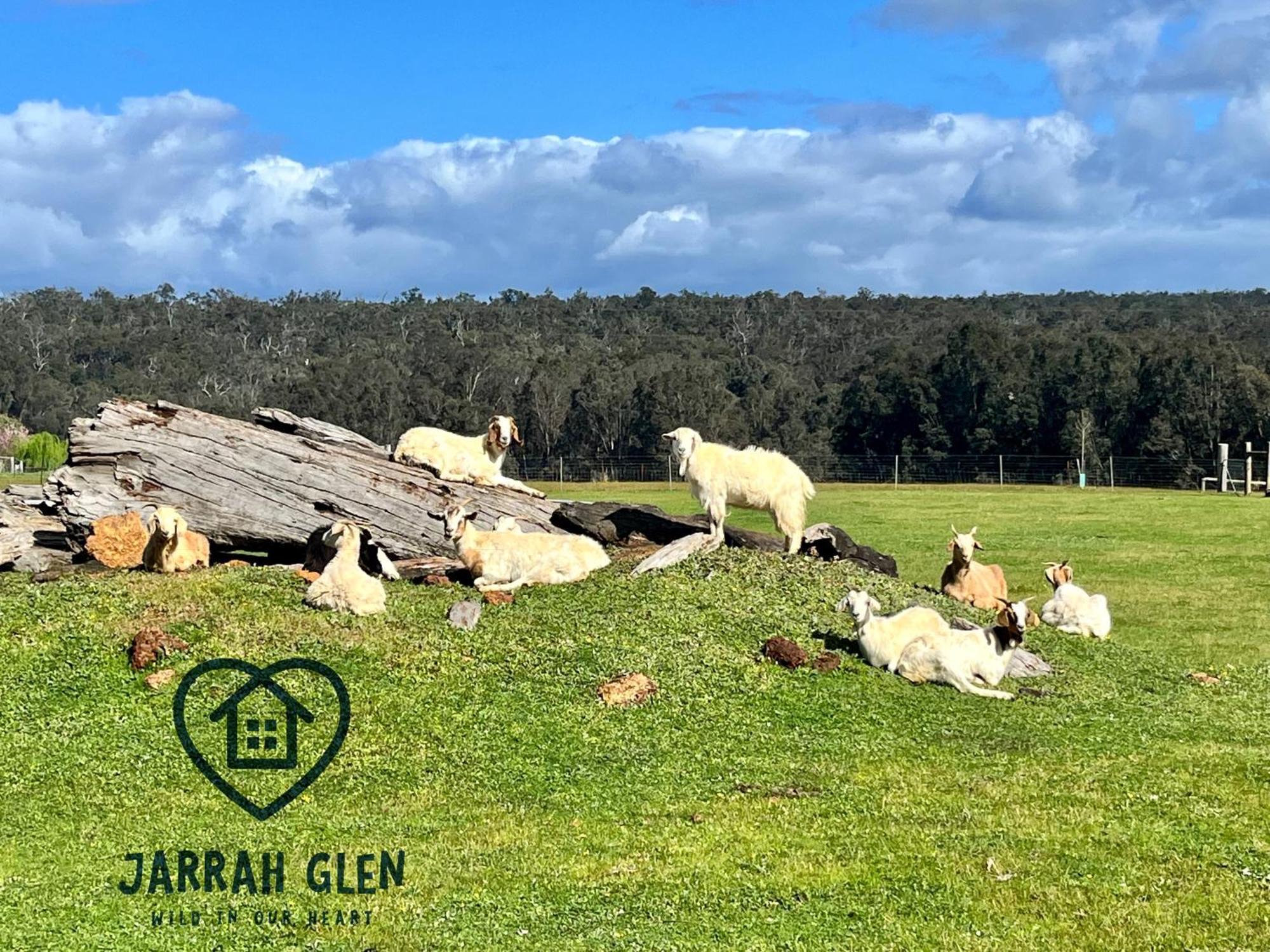 Jarrah Glen Cabins Nannup Exterior foto