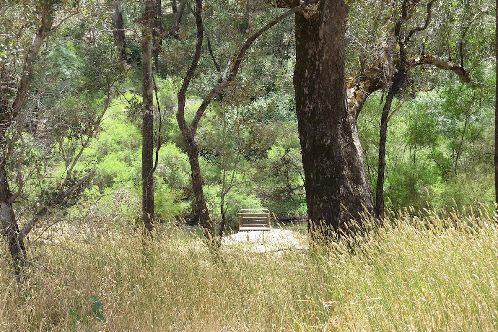 Jarrah Glen Cabins Nannup Quarto foto