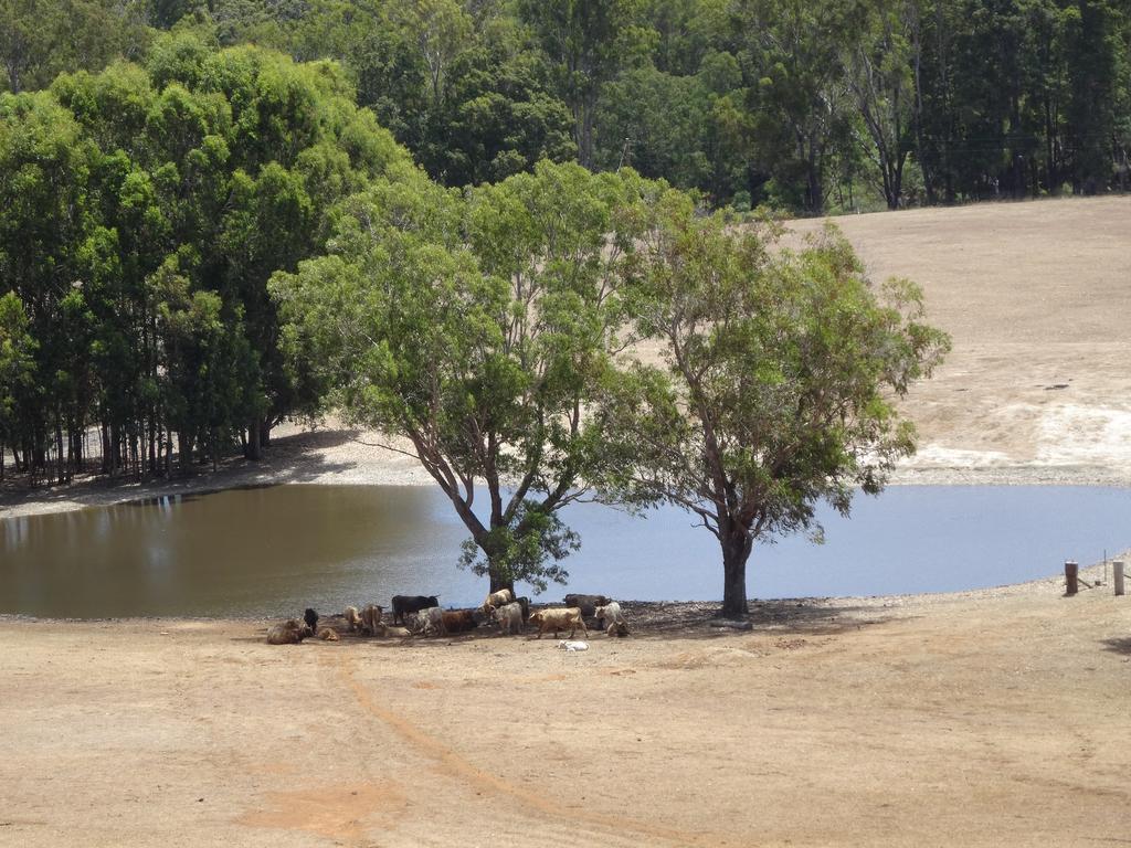 Jarrah Glen Cabins Nannup Exterior foto